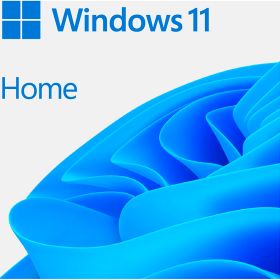 Microsoft WIN HOME 11 64-bit All Languages Online Product Key Licen...